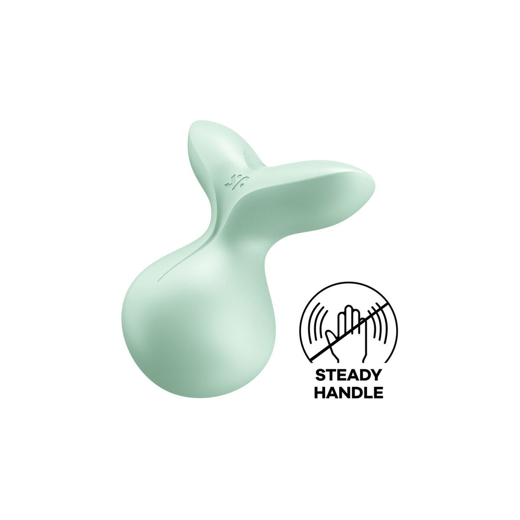 Mint green erotic product with 'Steady Handle' logo on a white background