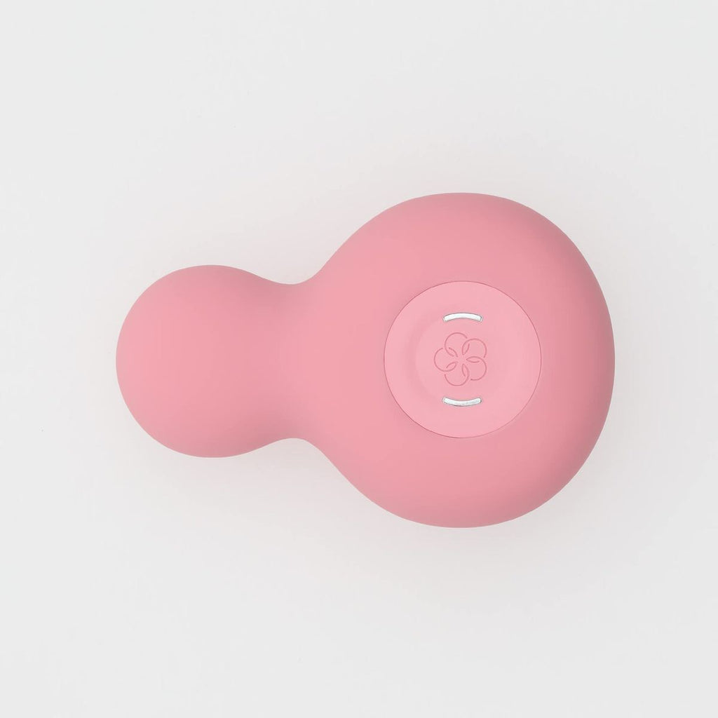 rechargeable Pink silicone dildo with an iroha brand logo on a light gray background