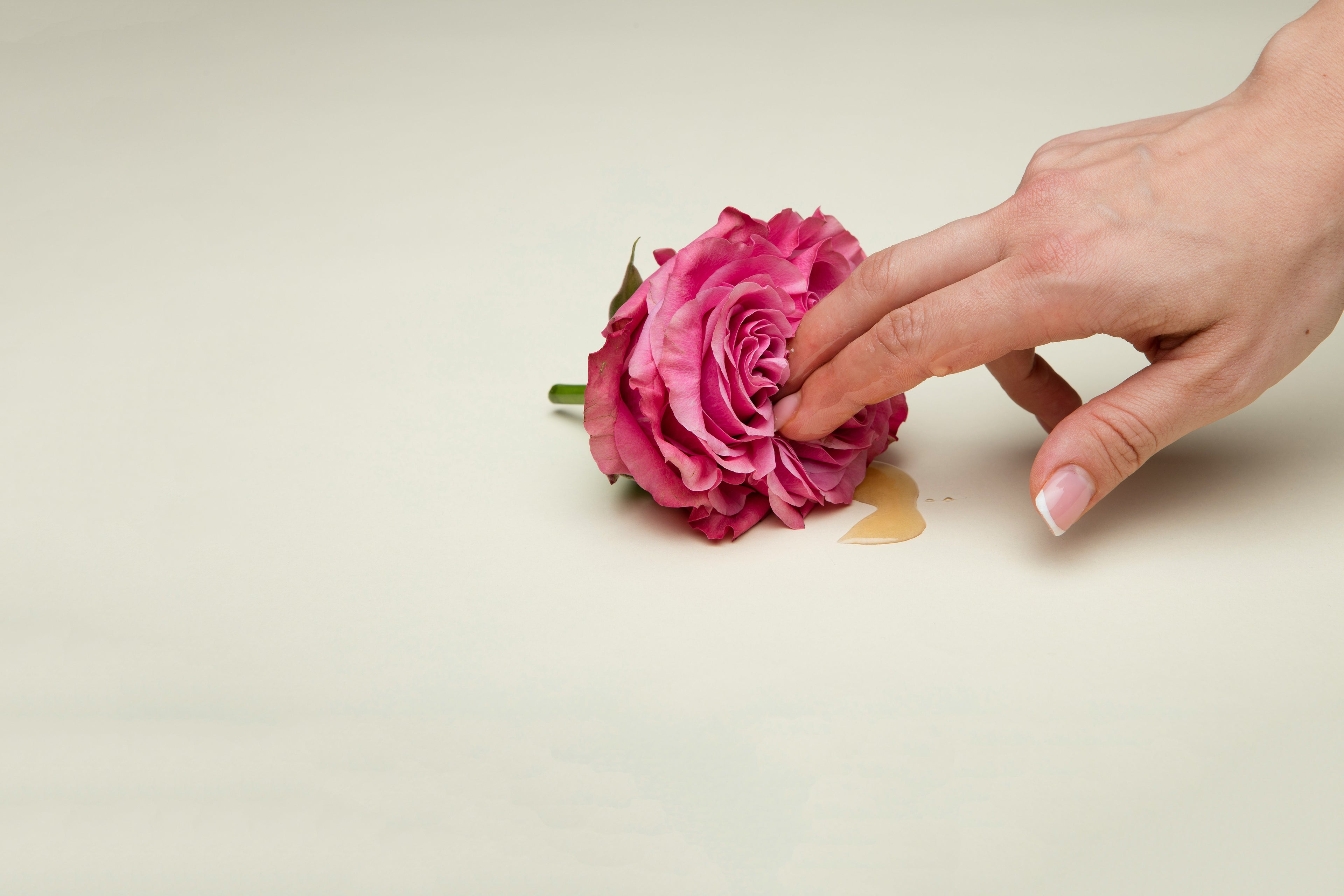 Hand touching a pink rose, symbolising a first time sex toy buyer who can safely use our secure adult shop